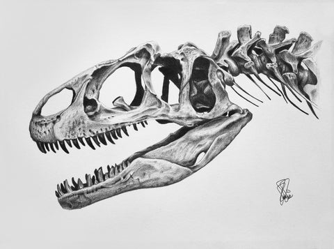 Allosaurus Fragilis (original illustration, 11"x14")