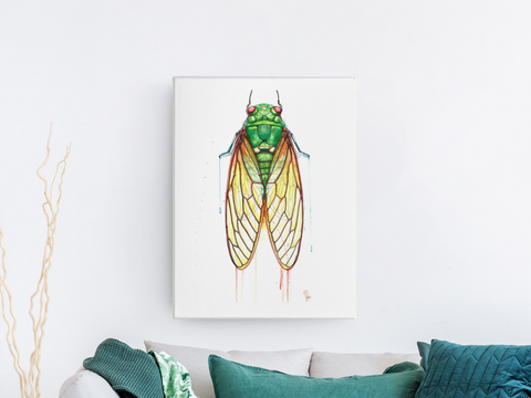 "Cicada" Canvas Print