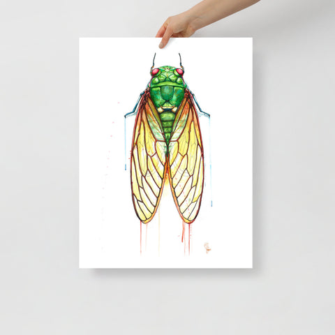 "Cicada" Matte Print