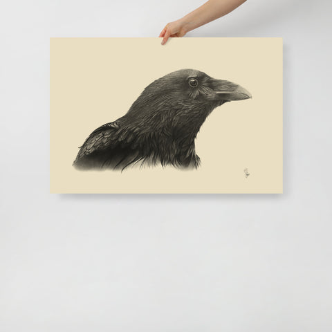 "Poe" (Raven, Corvus Corax) Matte Paper Print