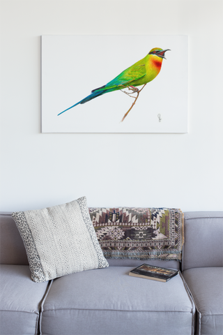 "Blue Tailed Bee Eater" (Merops Philippinus) Framed Canvas Print