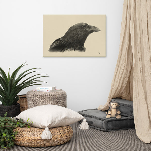 "Poe" (Raven, Corvus Corax) Canvas Print